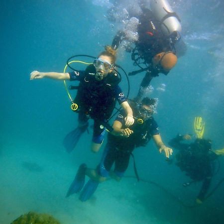 Alegria Dive Resort מראה חיצוני תמונה